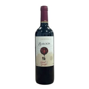 Vinho-Balloon-Malbec-750-Ml.